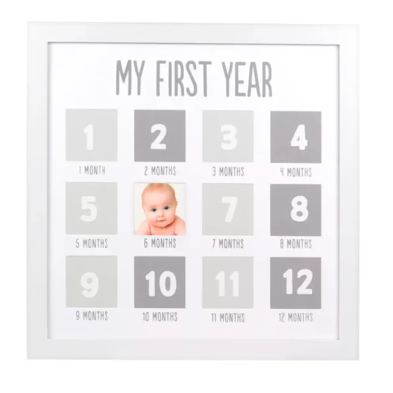 Baby's First Year Frame