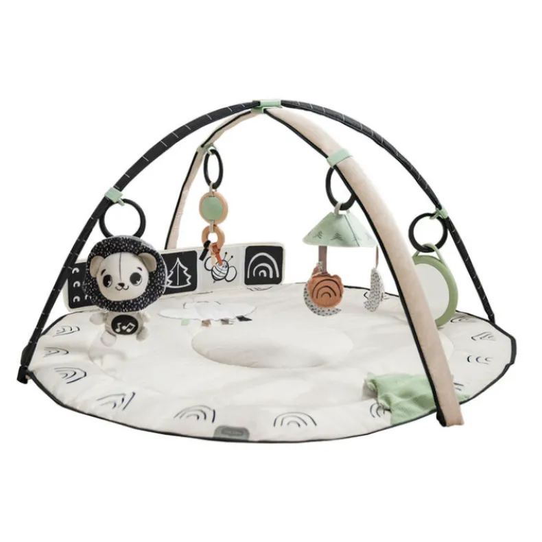 Black & White Décor Classic Developmental Gymini