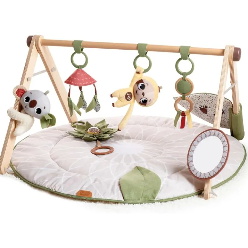 Boho Chic Luxe Developmental Gymini