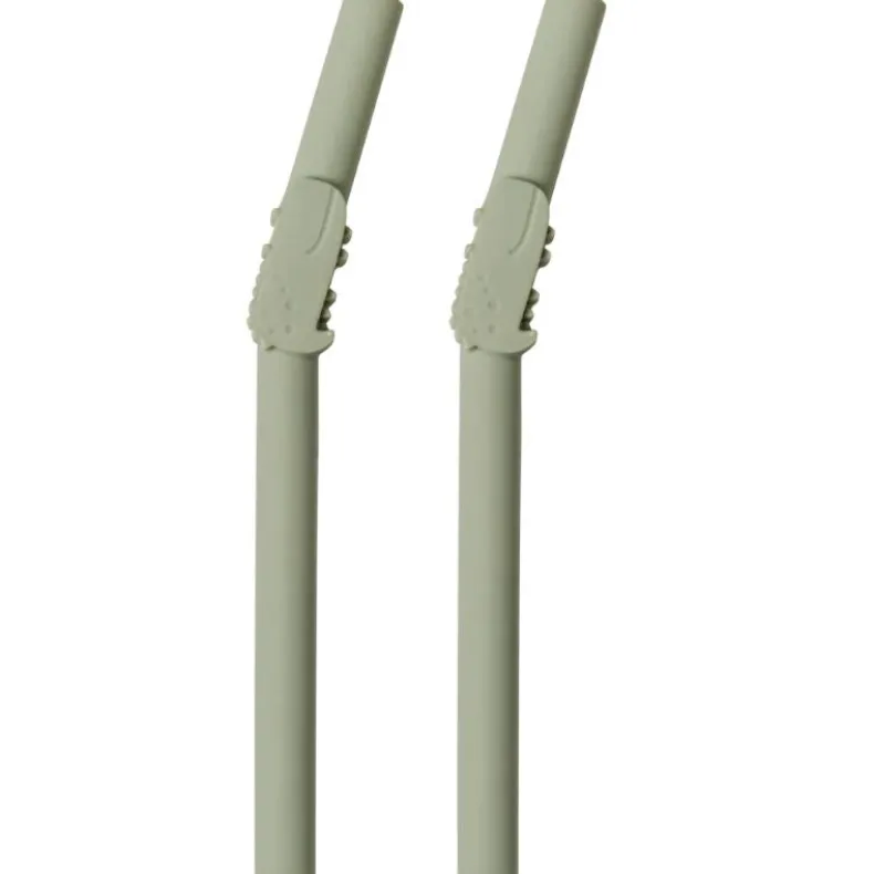 Born to be Wild - 2 Pack Kids Silicone Straws