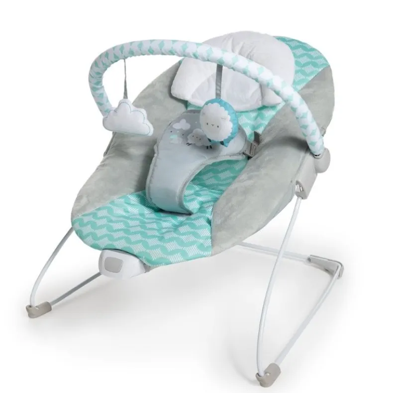 Bouncity Bounce Vibrating Deluxe Bouncer - Goji