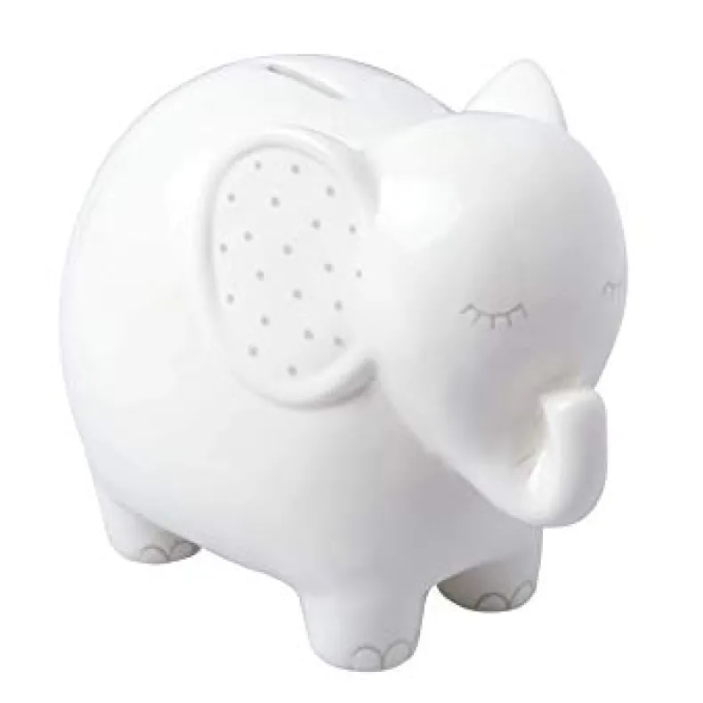 Ceramic Piggy Bank