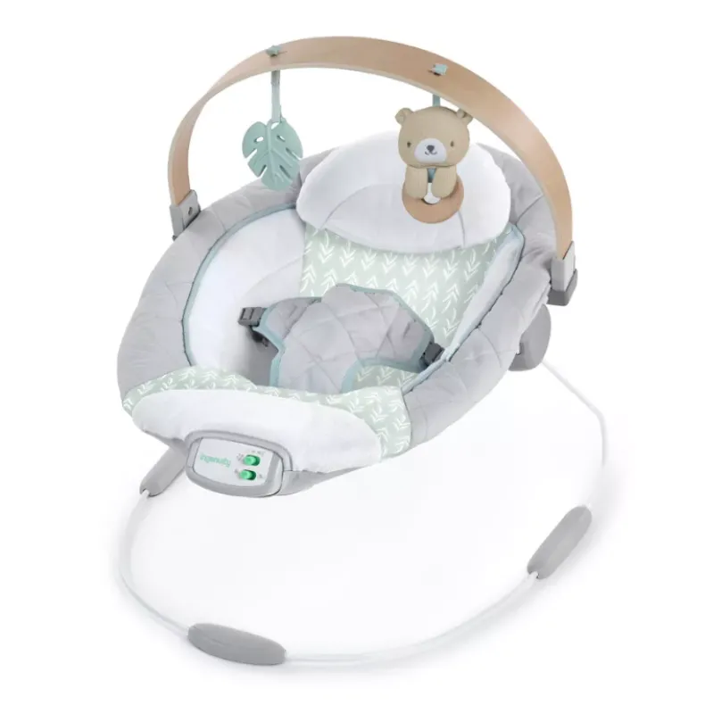 Cozy Spot Soothing Bouncer