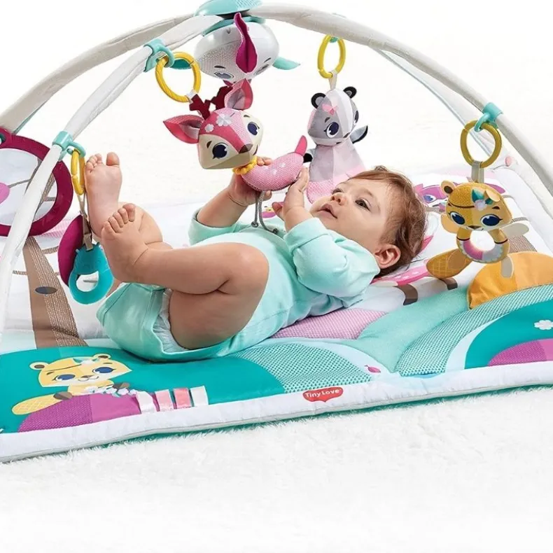 Deluxe Gymini Activity Mat