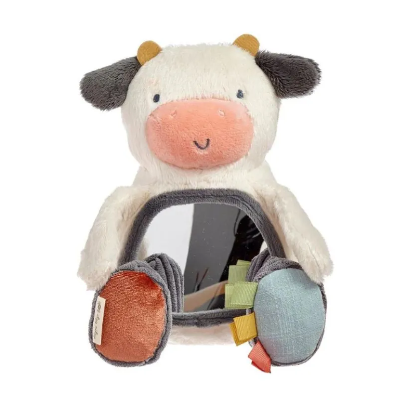 Itzy Bitzy Mirror Sensory Tummy Time Mirror