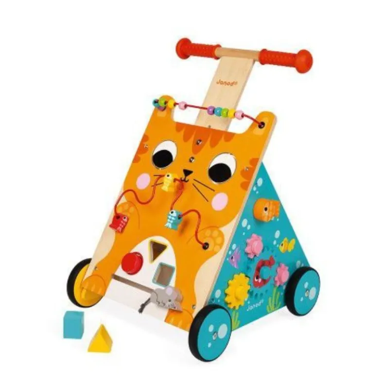 Multi-Activities Cat Baby Walker