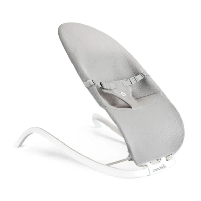 Spring 2-in-1 Bouncer & Rocker