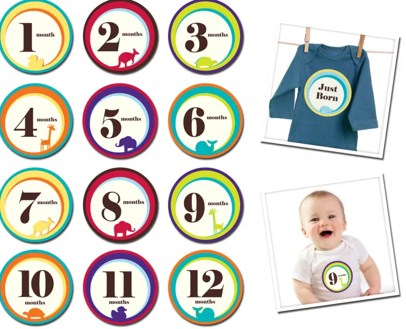 Sticky Bellies - Wild one NB