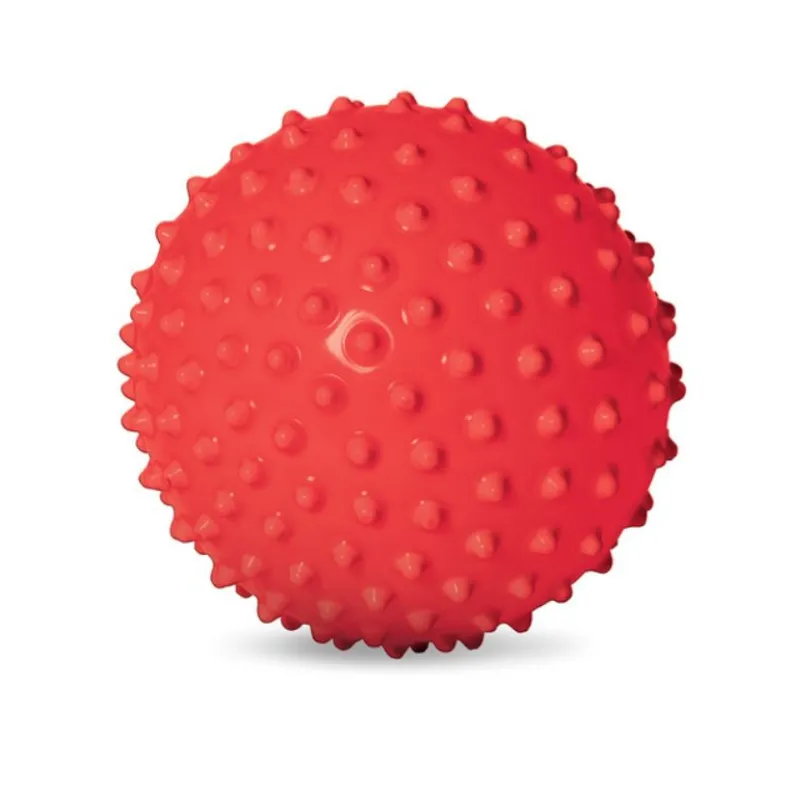 The Original Sensory Ball