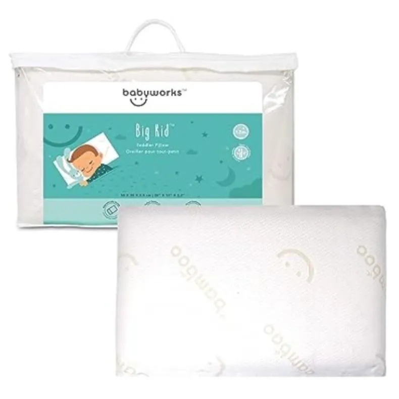 Toddler Pillow with Bamboo Cover